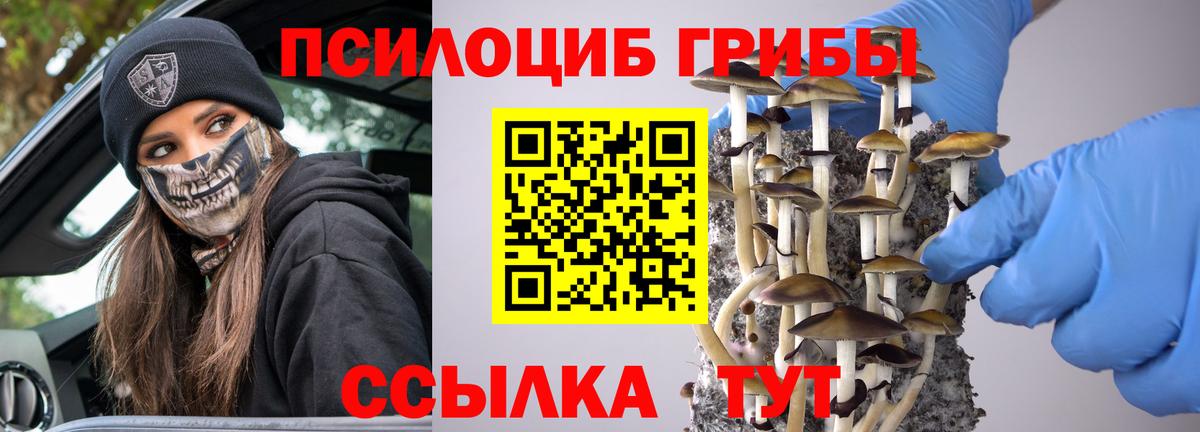 Белая Калитва  Галлюциногенные грибы GOLDEN TEACHER  как найти закладки  Вход с VPN  Галлюциногенные грибы Magic Shrooms 